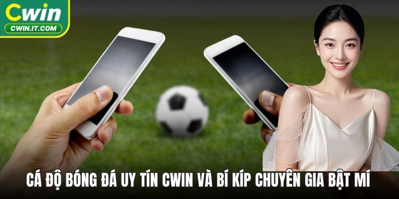 cá độ bóng đá uy tín