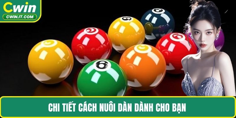 Chi tiết cách nuôi dàn dành cho bạn
