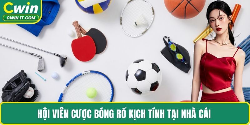 Hội viên cược bóng rổ kịch tính tại nhà cái