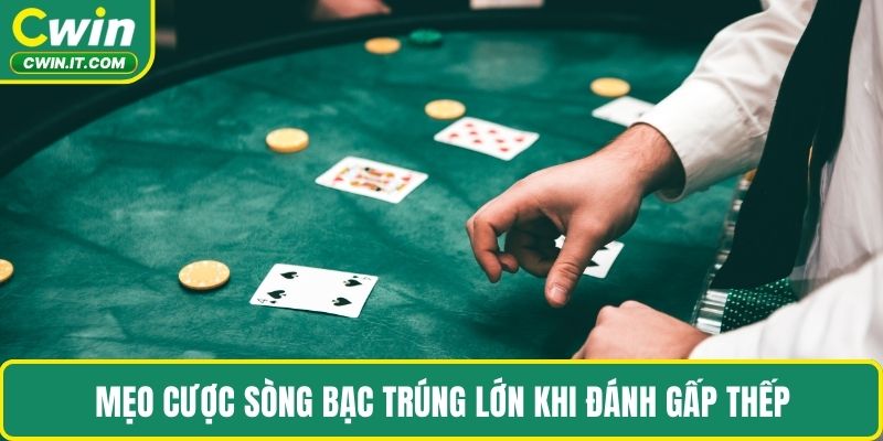 Mẹo cược sòng bạc trúng lớn khi đánh gấp thếp