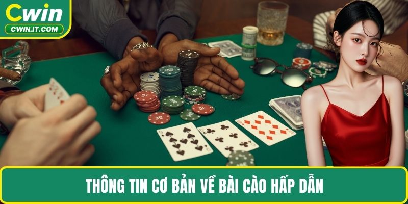 Thông tin cơ bản về bài cào hấp dẫn