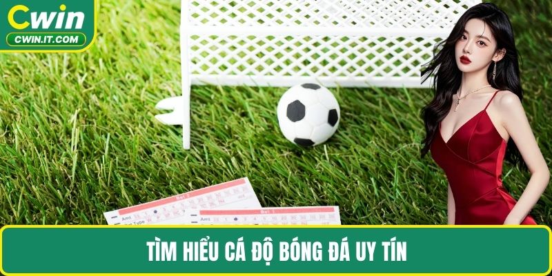 Tìm hiểu cá độ bóng đá uy tín  